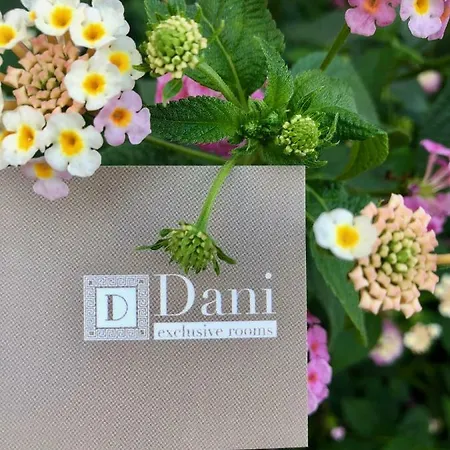 Dani Exclusive 시라쿠사